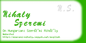 mihaly szeremi business card